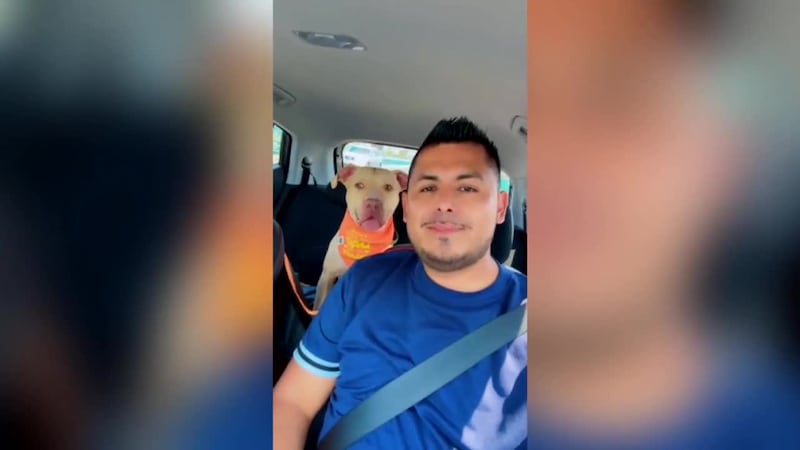 A man who self-deported to Mexico was reunited with his dog.